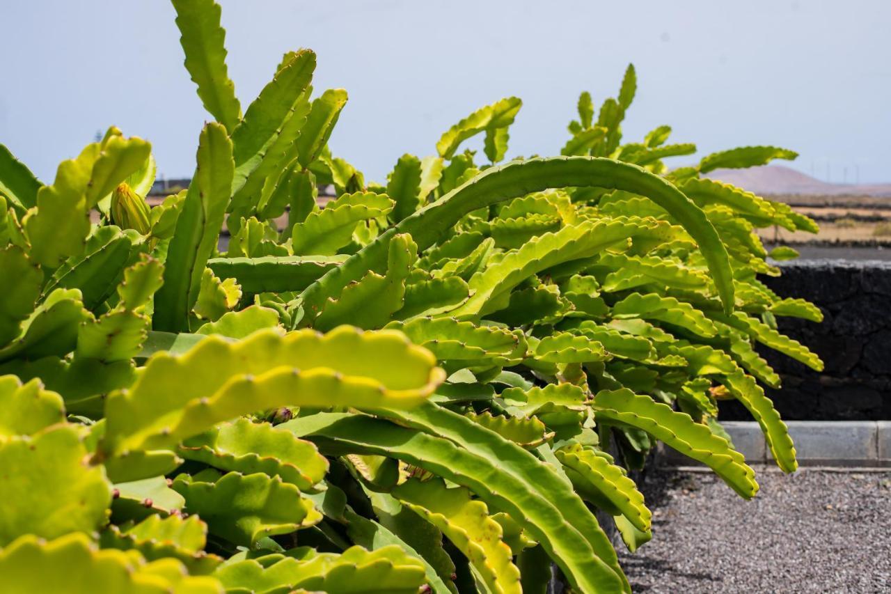 Eslanzarote Eco Dome Experience Hotell Teguise  Eksteriør bilde