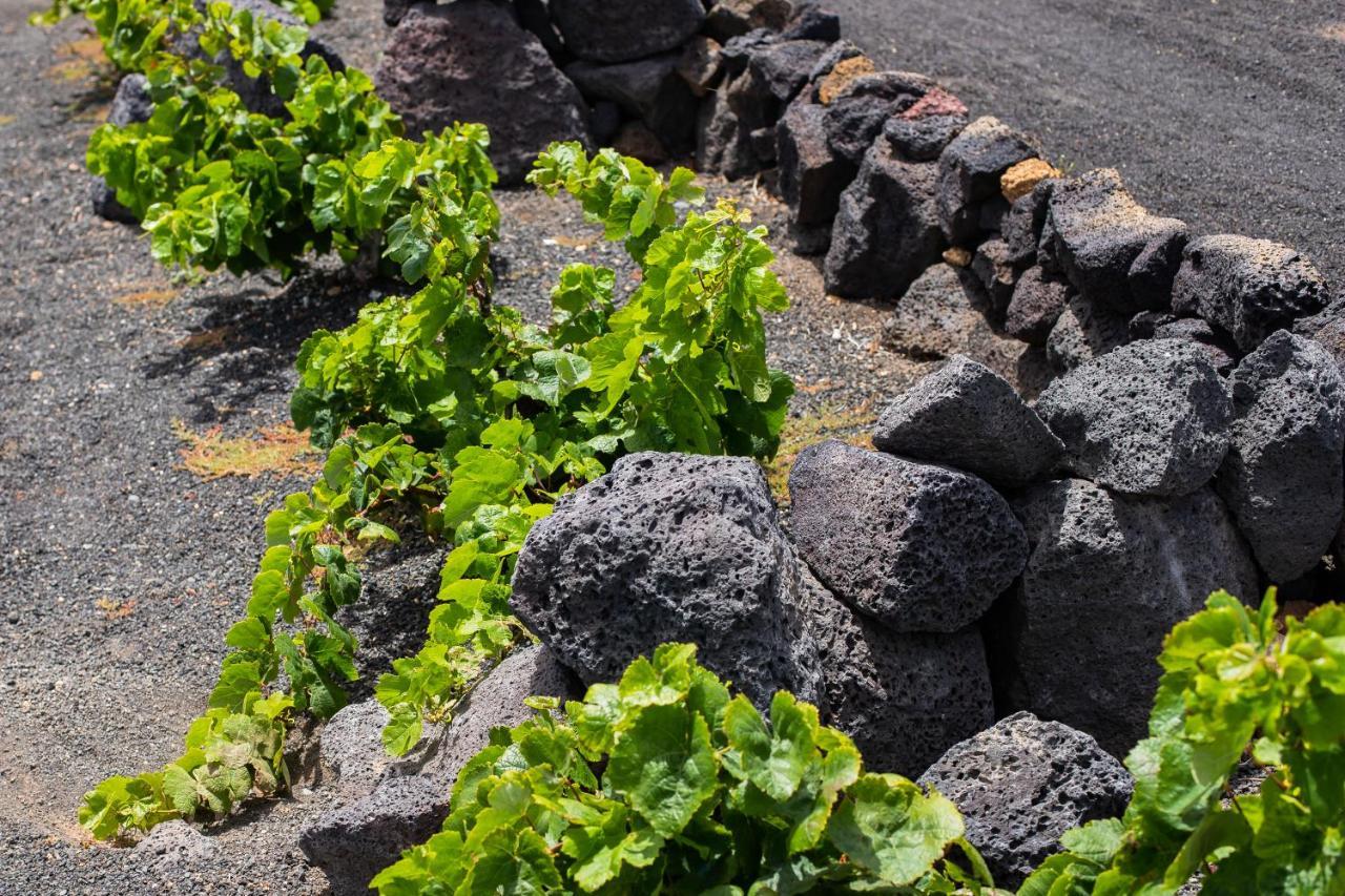 Eslanzarote Eco Dome Experience Hotell Teguise  Eksteriør bilde